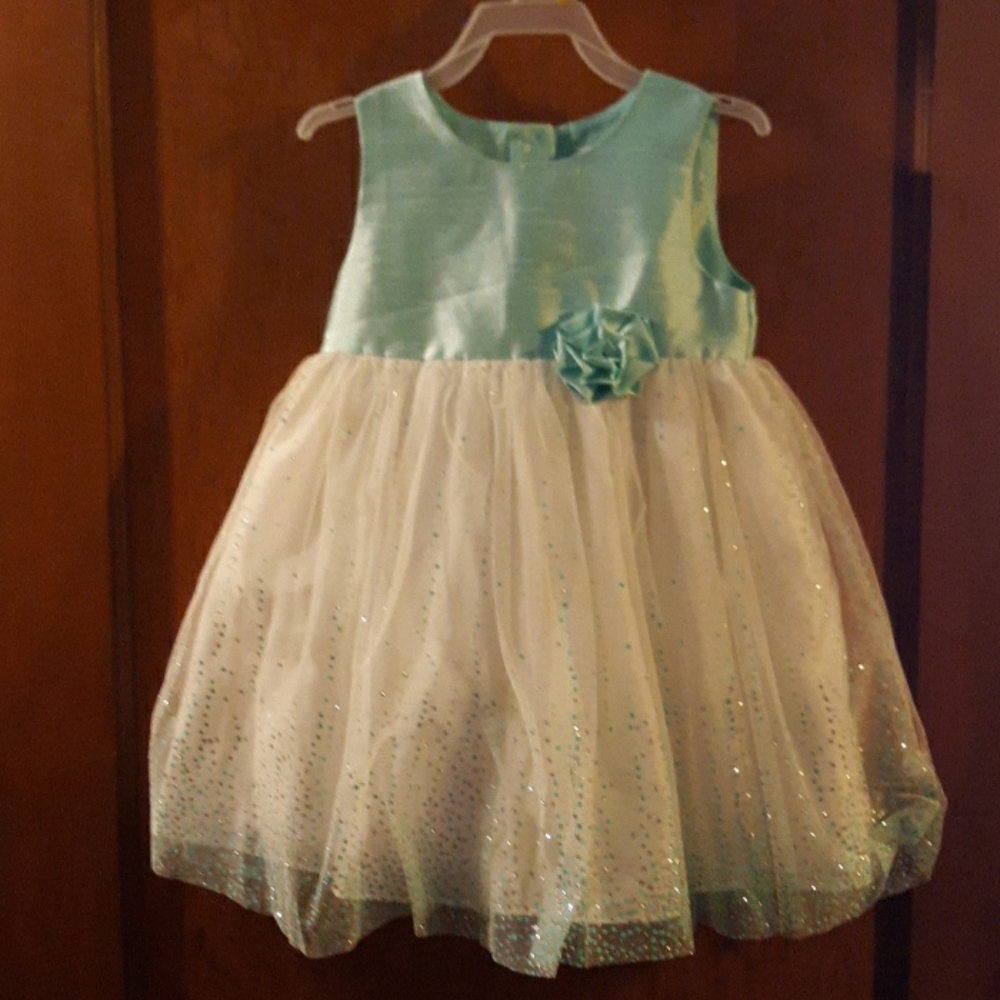 Sparkly Dress